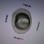 OLYMPUS DIGITAL CAMERA